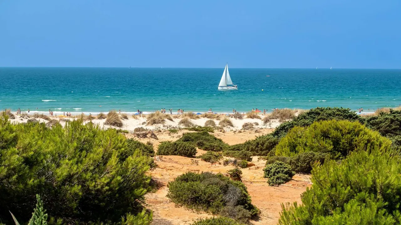 Playa de la Barrosa. | Shutterstock
