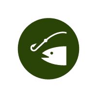pesca