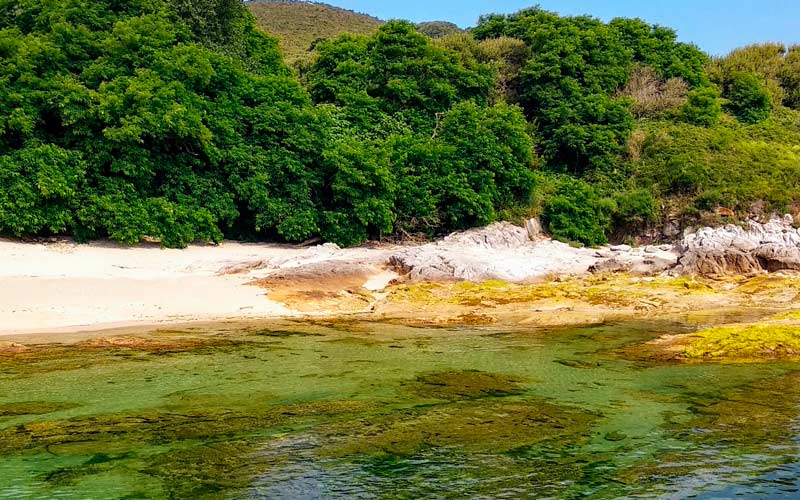 Una pequeña playa en Ons