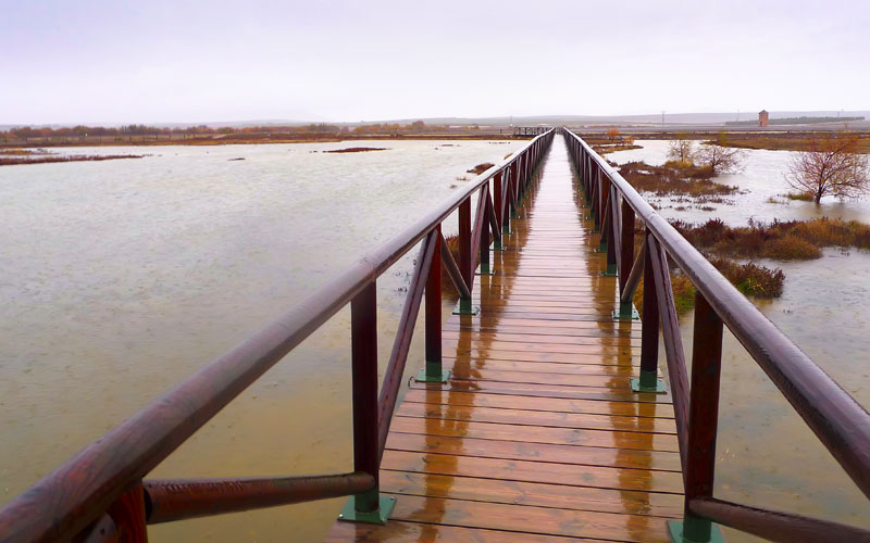 Laguna de Fuente de Piedra