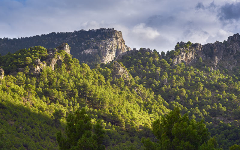 Parque Nacional de la Sierra de las Nieves