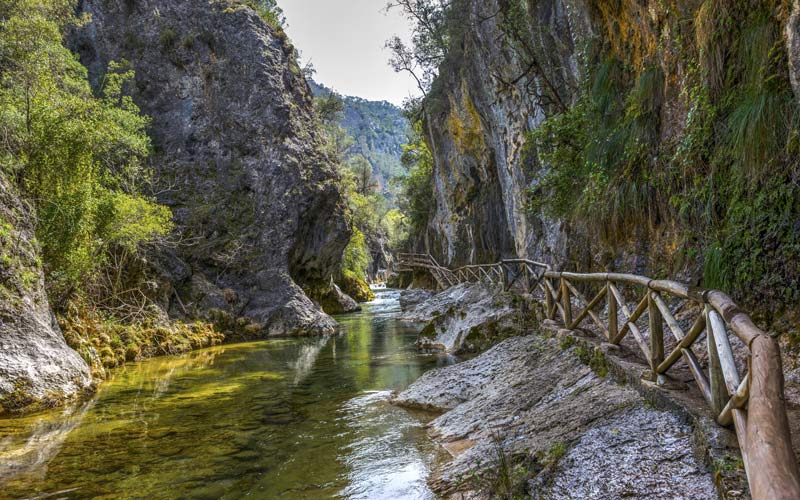 Sendero junto al río en la Sierra de Cazorla