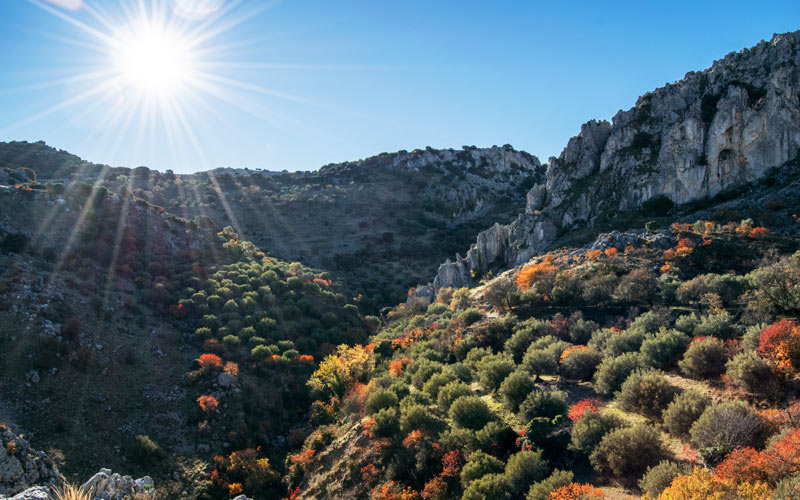 Sierra de Jaén con olivos. | Sutterstock