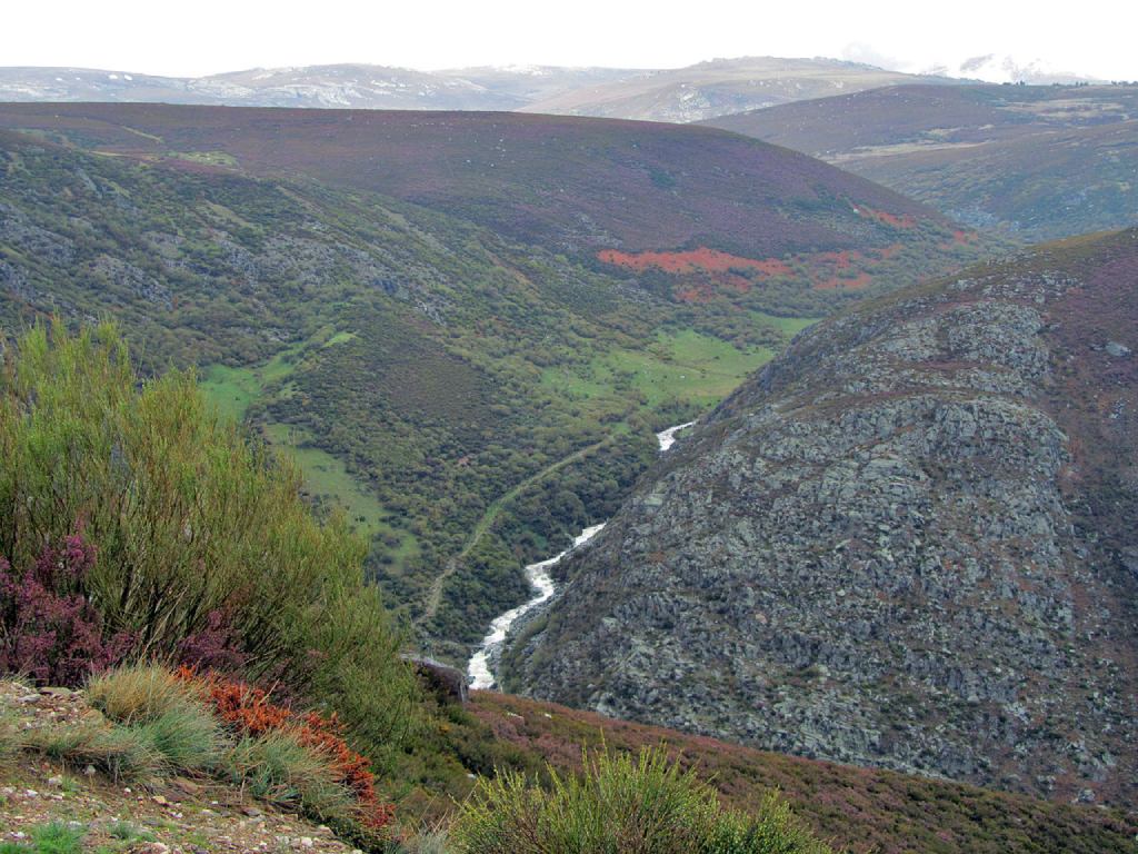 Cañçon del río Forcadura en Vigo, Galende