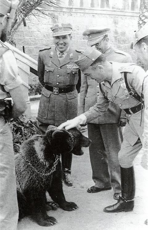 Mascotas de la Legión Oso Magan