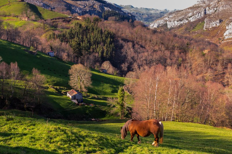 Valle del Pas escapadas de otoño en España