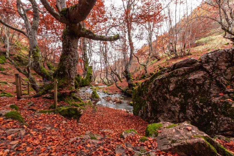 Faedo de Ciñera, una de las mejores escapadas de otoño en España