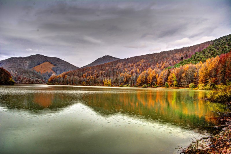 Selva de Irati y Ochagavía