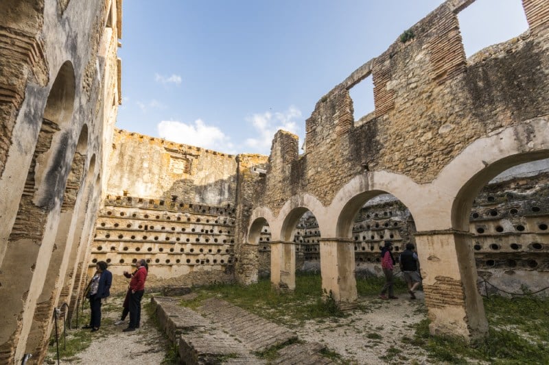 Palomar de la Breña en Barbate