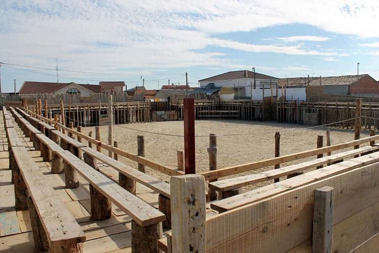 Plaza de toros de la Empalizada