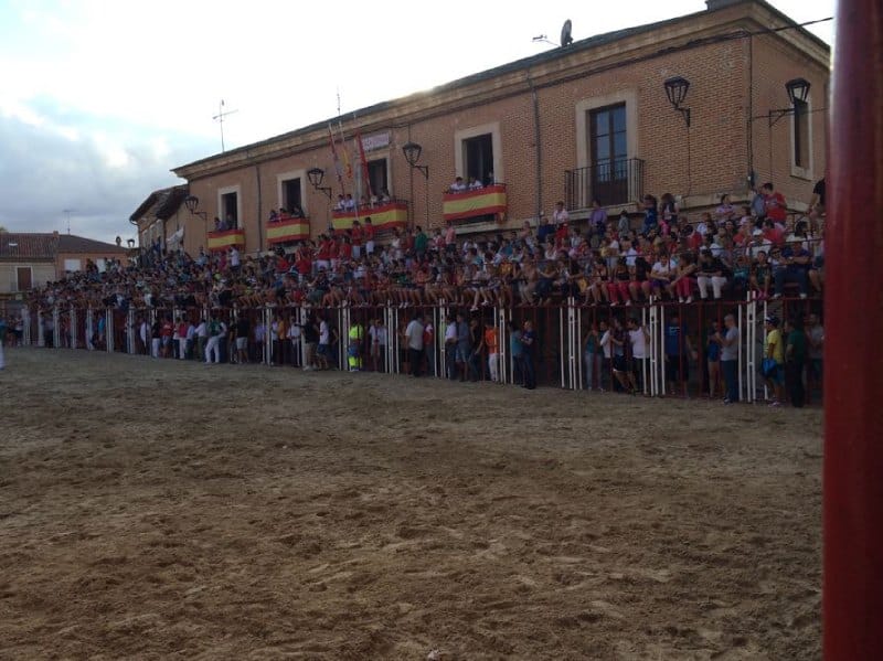 Fiesta del Novillo en La Seca