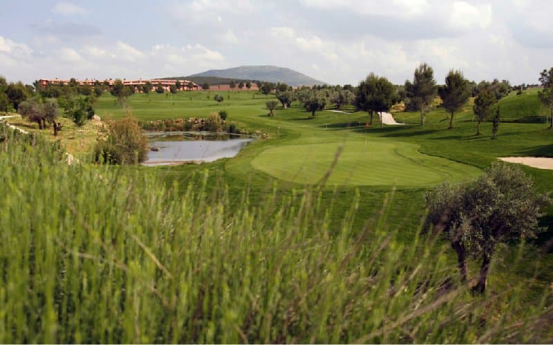 Golf Layos