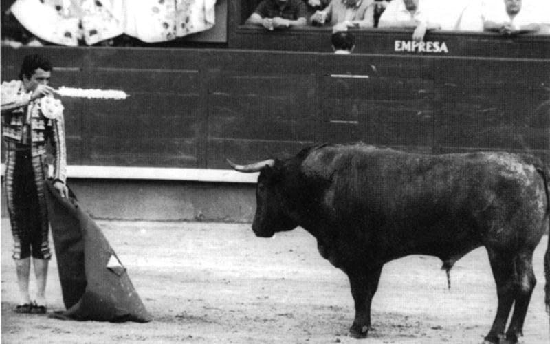 Ortega Cano y Belador