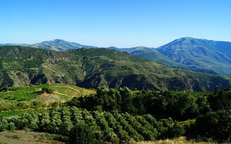 Sierra de Lújar
