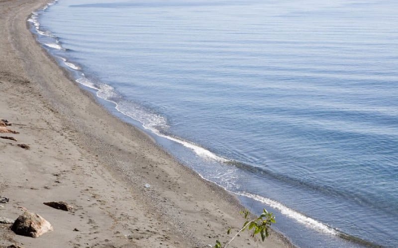 Playa de las Cañas