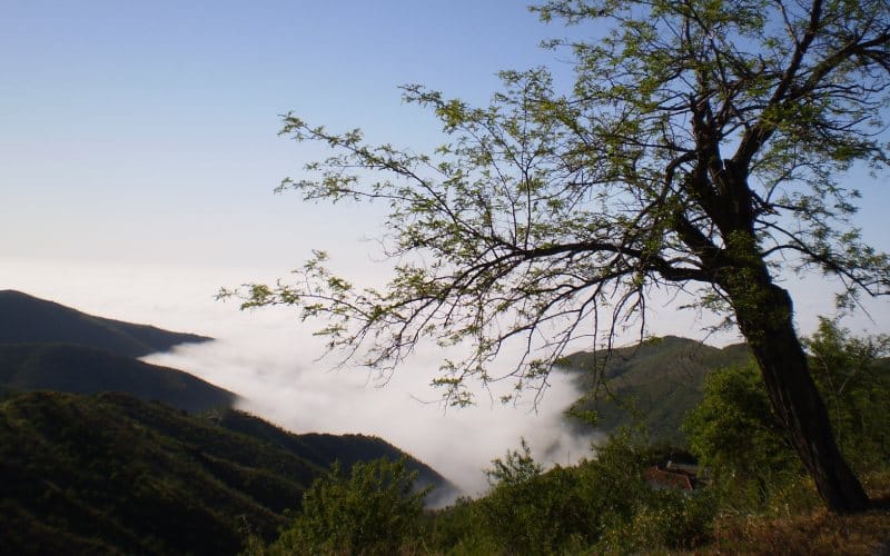 La Sierra de la Contraviesa
