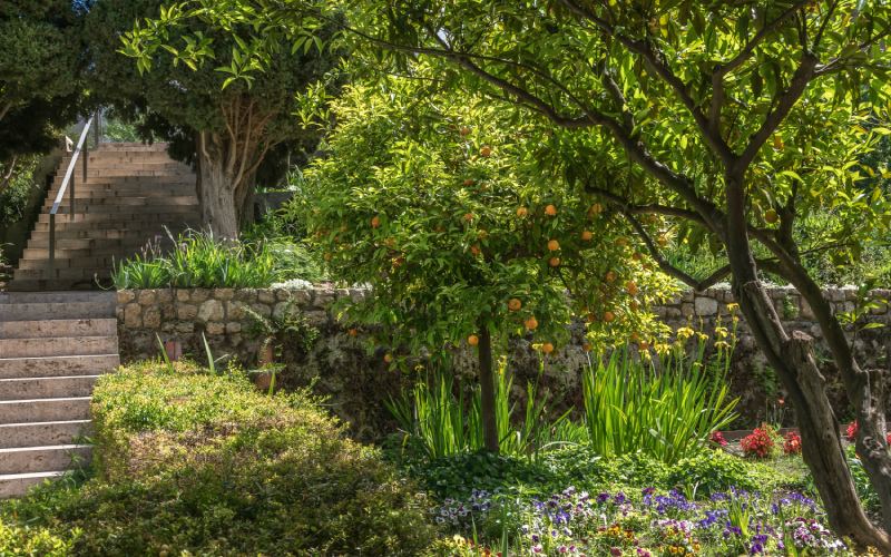 Jardín Nazarí de Vélez de Benaudalla