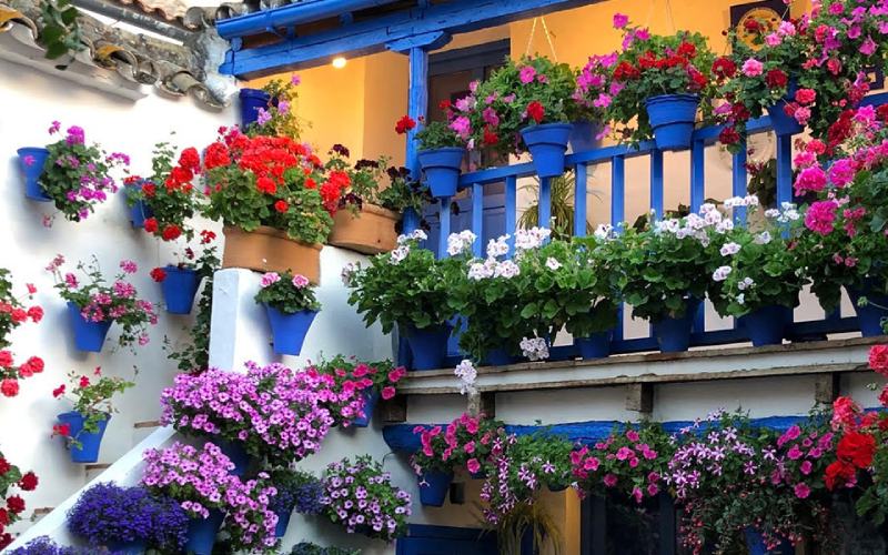 Escapadas baratas de primavera patios de Córdoba