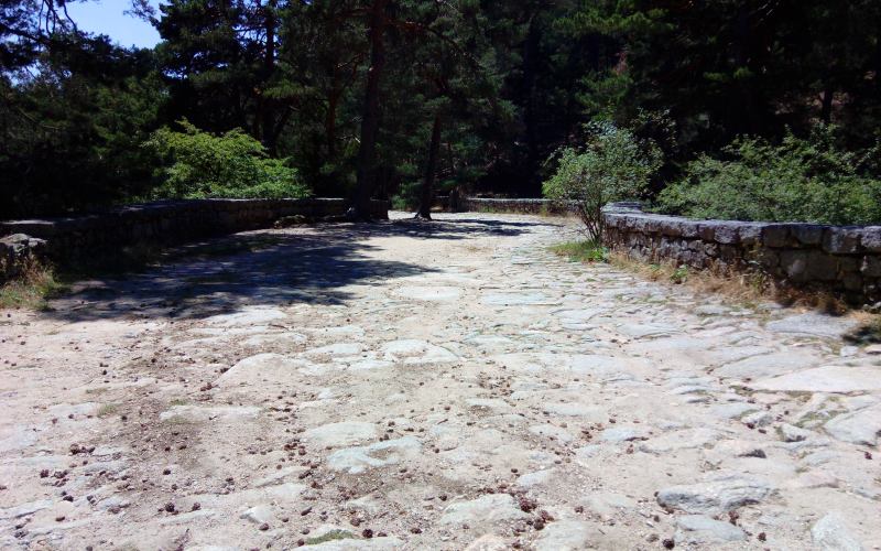 Calzada Borbónica en Cercedilla