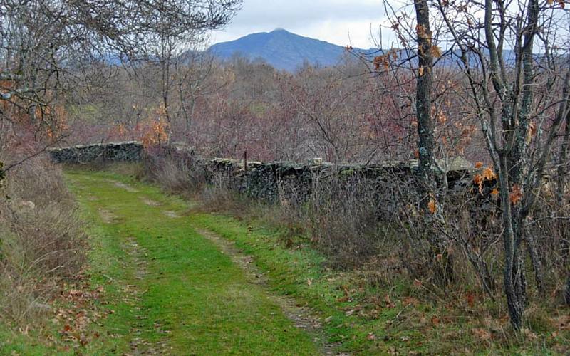Dehesa boyal de Montejo de la Sierra