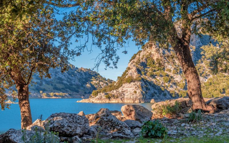 Entorno de Gorg Blau en Mallorca