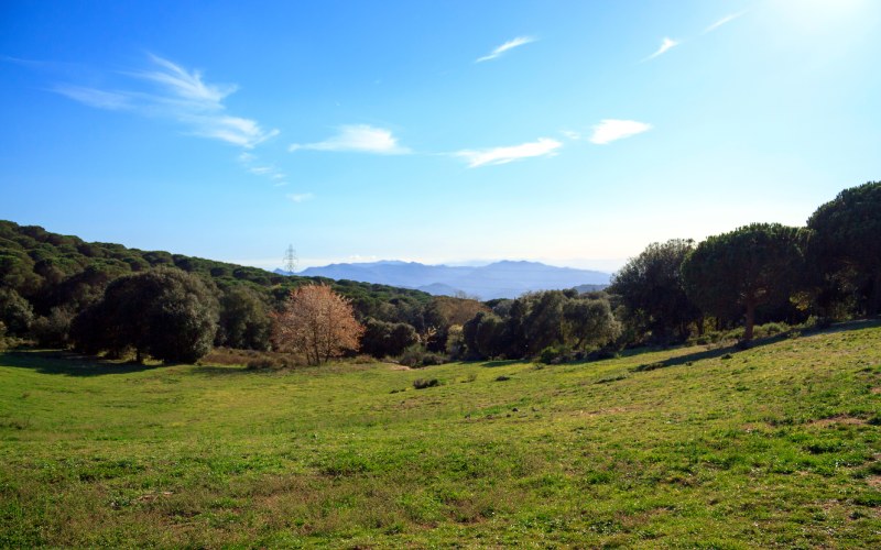 Panorámica cercana al Santuario del Corredor