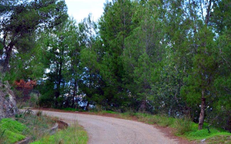 Camino de la Cañada Vargas hacia el Yacimiento El Maraute, Torrenueva