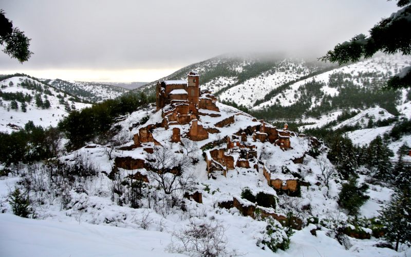Turruncún invernal