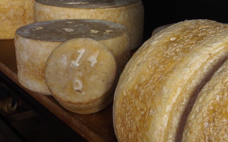 Cuevas del Gamonéu
