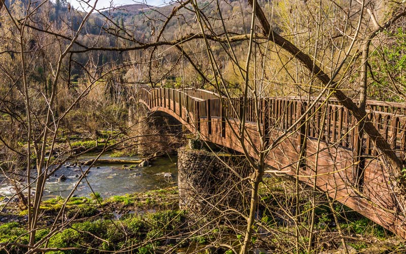 Puente sobre el río Fluvià. | Shutterstock