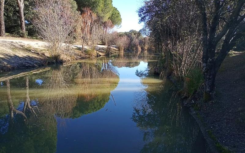 Canal del Guadarrama a su paso por la dehesa de Navalcarbón