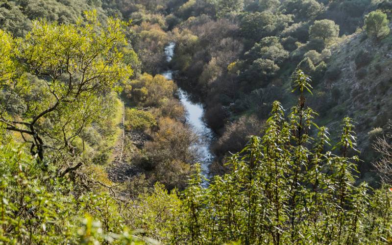 El Guadarrama desde la presa de El Gascón