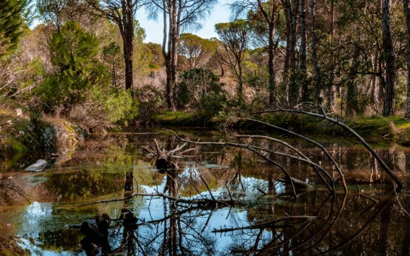Restos actuales del Canal del Guadarrama