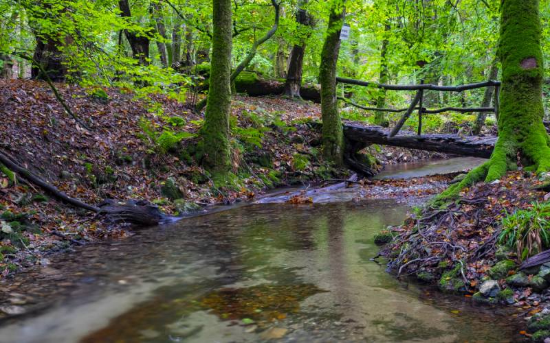 Puente sobre riachuelo en Artikutza