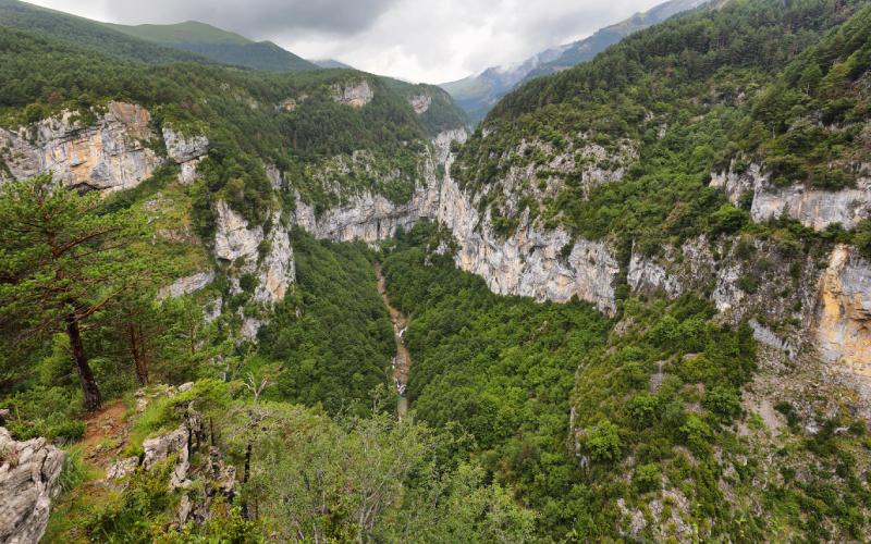 Gargantas de Escuaín desde el mirador de Revilla