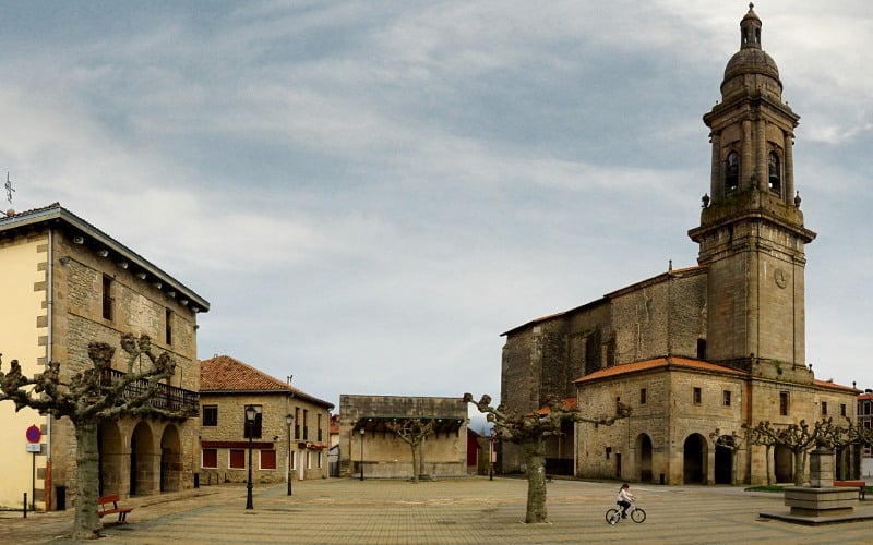 Alegría en Álava