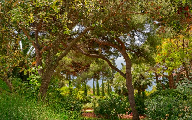 La vegetación del jardín botánico de Marimurtra es muy variada