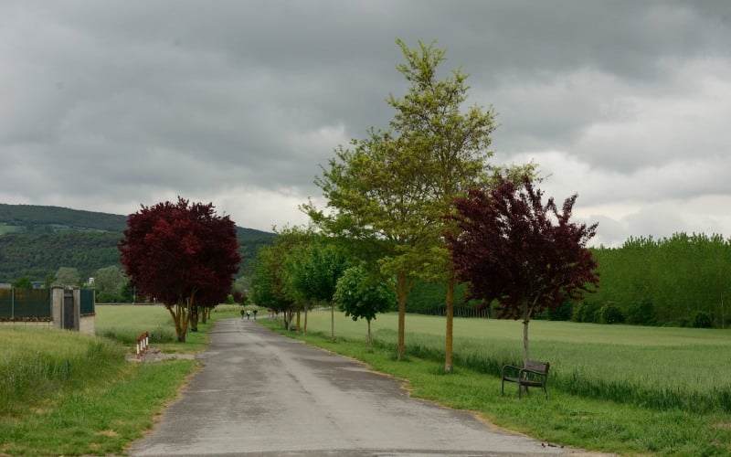 Paisaje en torno a La Puebla de Arganzón