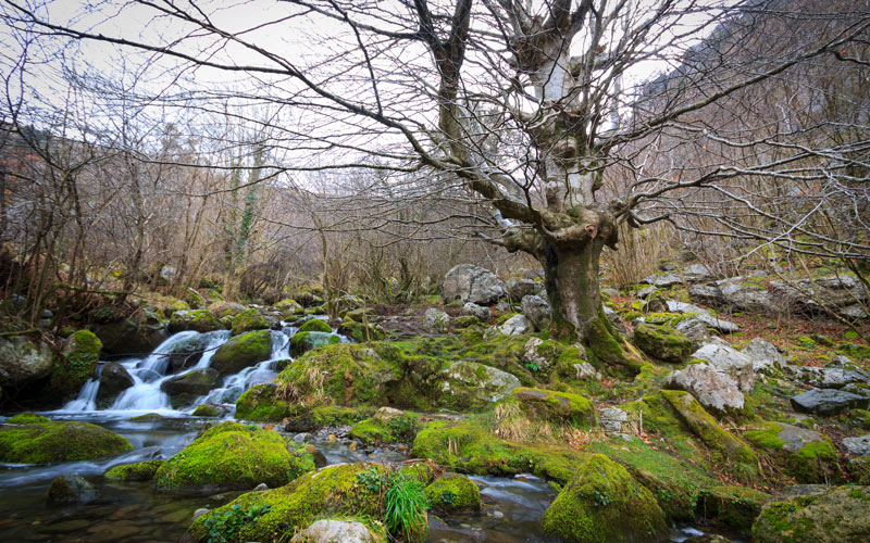 Nacimiento del río Asón