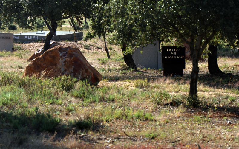 El curioso Cementerio de Arte de Morille