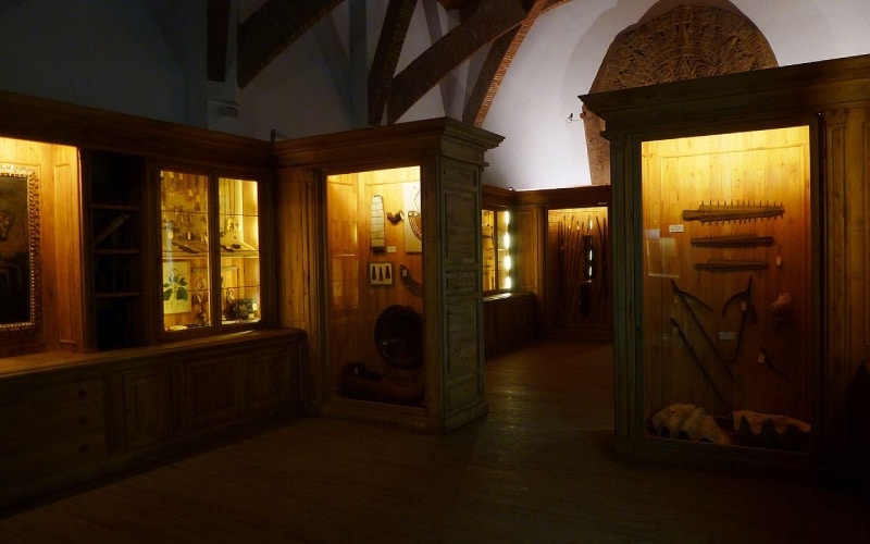 Recreación de una sala del Real Gabinete de Historia Natural en el Museo de América