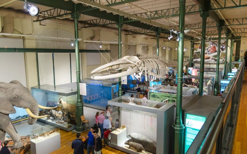 Interior del Museo Nacional de Ciencias Naturales