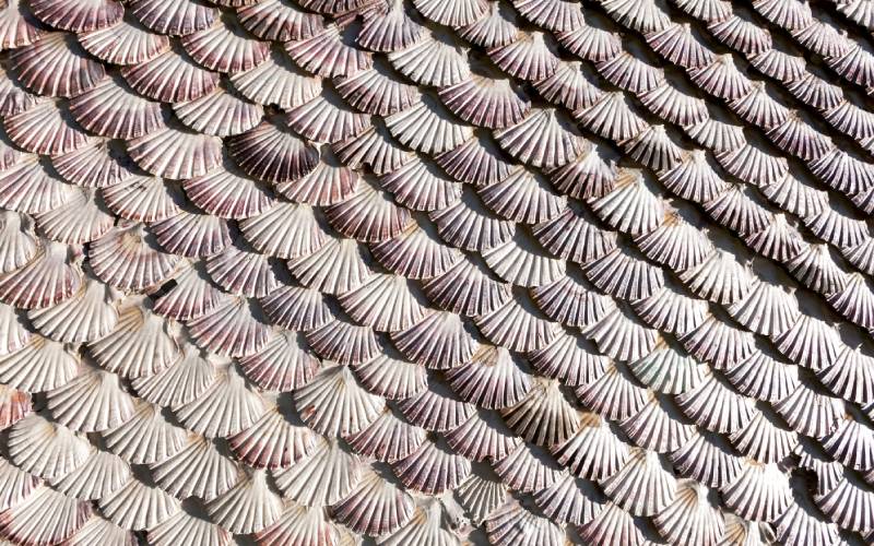 Conchas de la fachada de ermita la toja