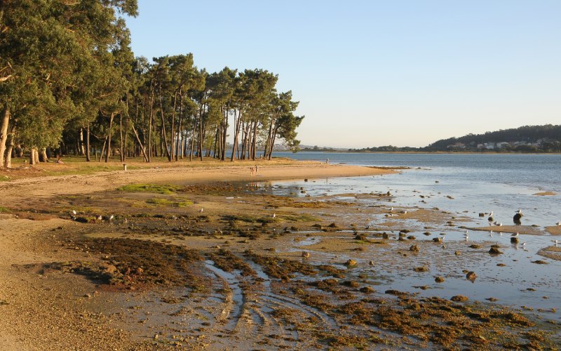 Isla de La Toja