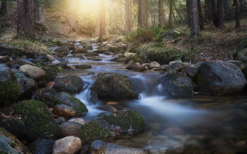 En los montes de Valsaín se encuentra el CENEAM, una entidad encargada de concienciar sobre el medio ambiente