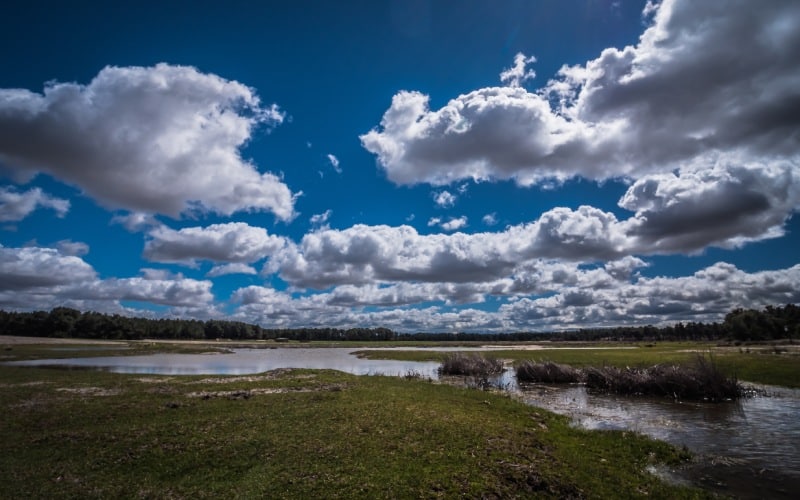Las lagunas de Cantalejo se empezaron a conformar hace un millón y medio de años
