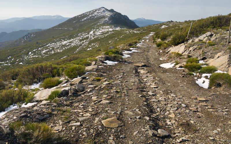 Camino pedregoso en el pico el Cerrón