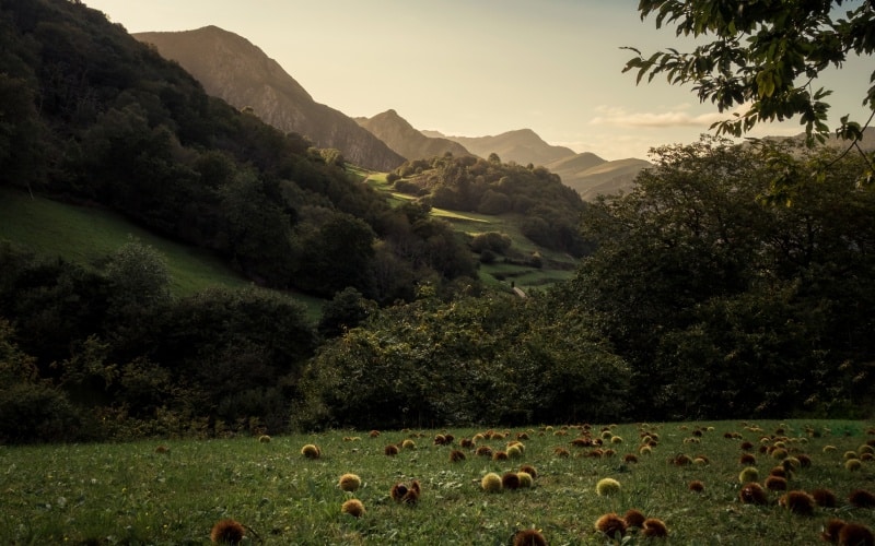 Valle de Ardisana, en Asturias