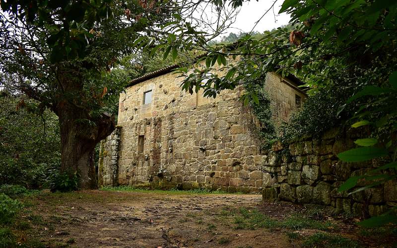 Pared del monasterio, entre los árboles