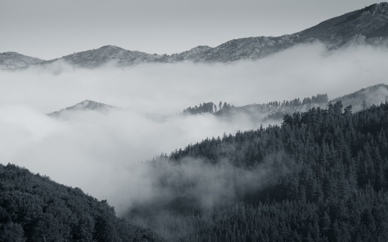 Monte de Gorbea